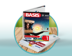 Internas_basis